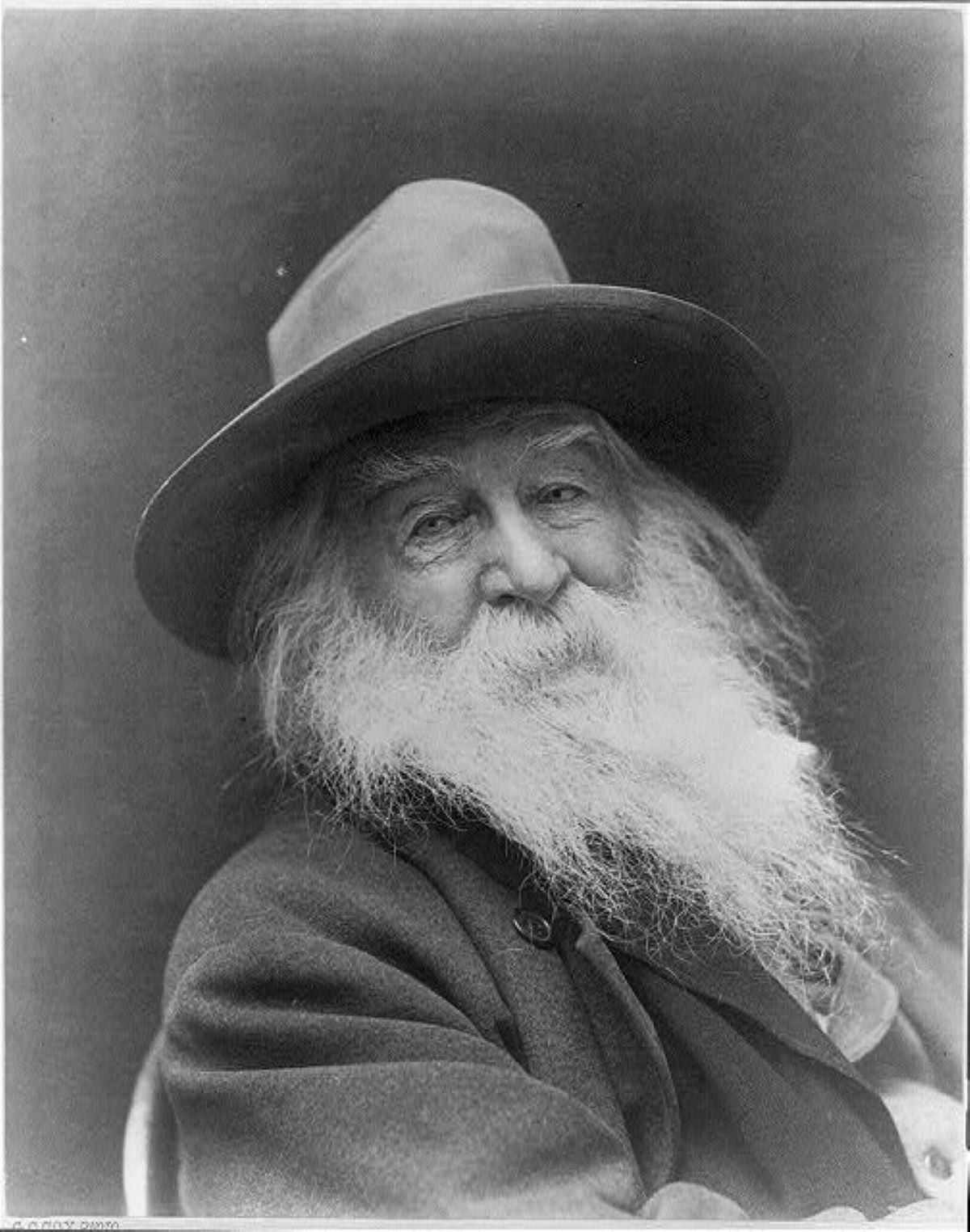 walt-whitman-poet-of-american-democratic-individualism-online