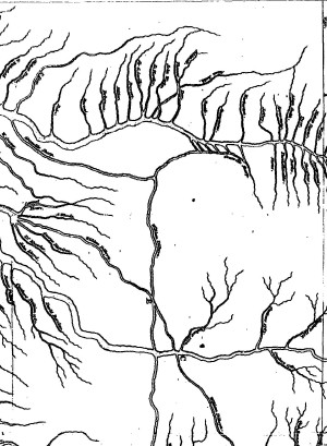 lf0591-01_figure_001.jpg