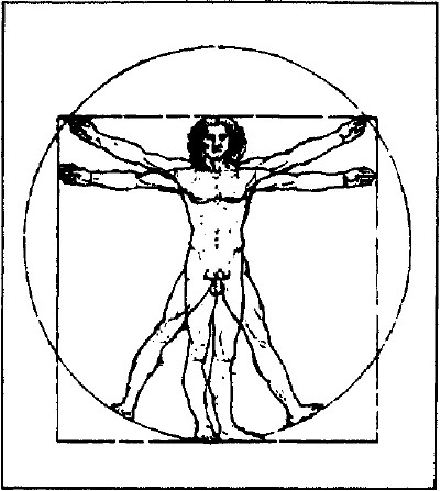 lf0353-07_1979v3_figure_003.jpg