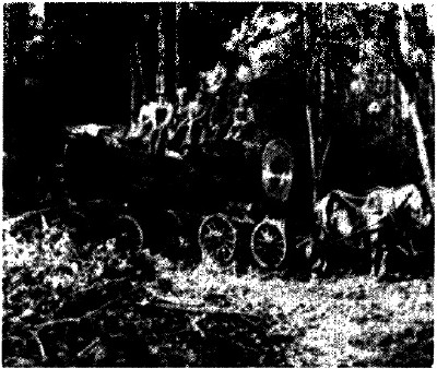 lf0353-08_1979v4_figure_004.jpg