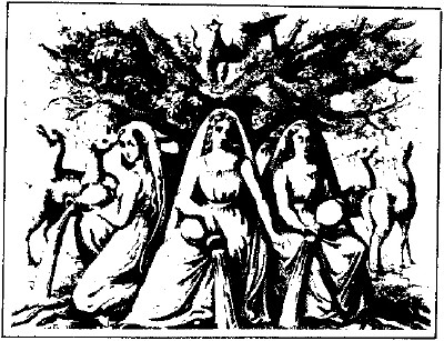lf0353-08_1979v4_figure_006.jpg