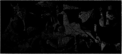lf0353-08_1979v4_figure_007.jpg
