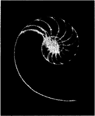 lf0353-08_1979v4_figure_016.jpg