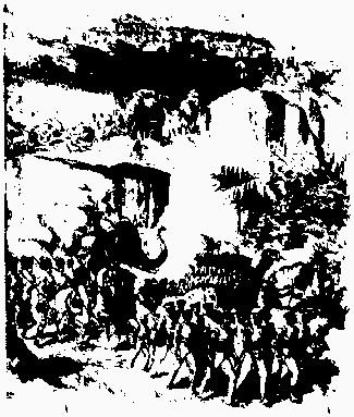 lf0353-10_1980v2_figure_007.jpg