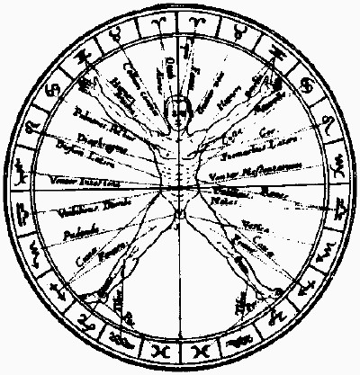 lf0353-13_1981v1_figure_004.jpg