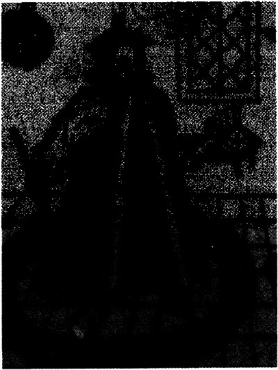 lf0353-13_1981v1_figure_007.jpg