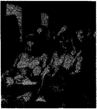 lf0353-13_1981v1_figure_014.jpg