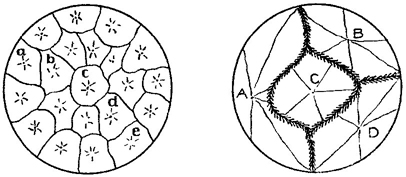 lf1375-01_figure_051.jpg