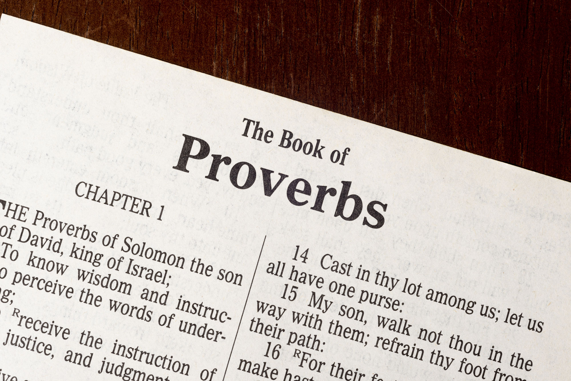 The Book of Proverbs (KJV)