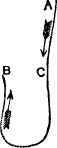 lf1438-03_figure_002.jpg