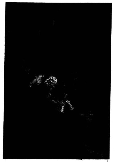 lf0060-03_figure_003.jpg