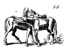 lf136.figure.038.jpg