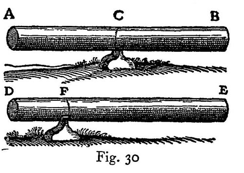 lf0416_figure_033.jpg