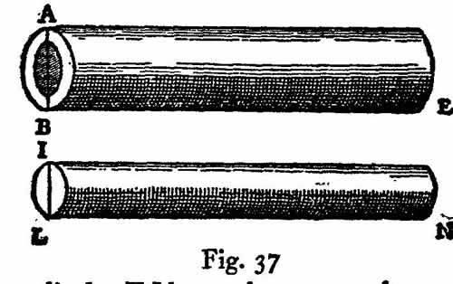 lf0416_figure_040.jpg