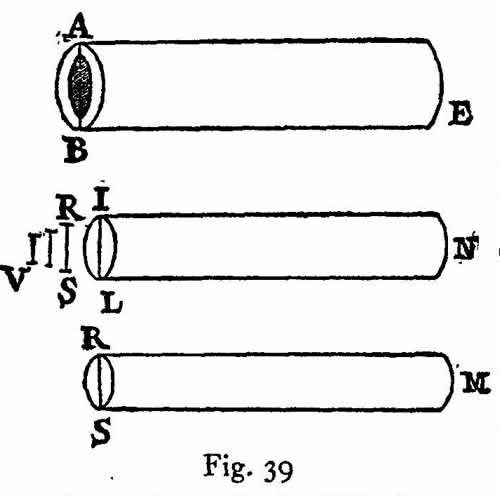 lf0416_figure_042.jpg