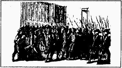 lf0353-01_1978v1_figure_003.jpg