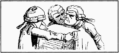 lf0353-01_1978v1_figure_010.jpg