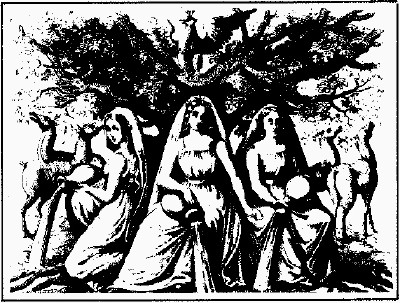 lf0353-01_1978v1_figure_020.jpg