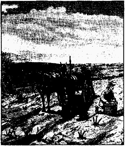 lf0353-01_1978v1_figure_028.jpg