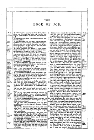 the book of job kjv